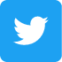 twitter icon